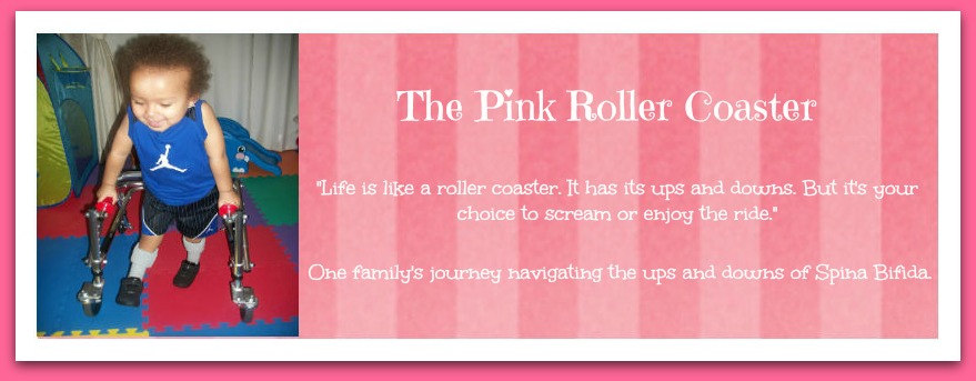 The Pink Roller Coaster Facebook Header Image One