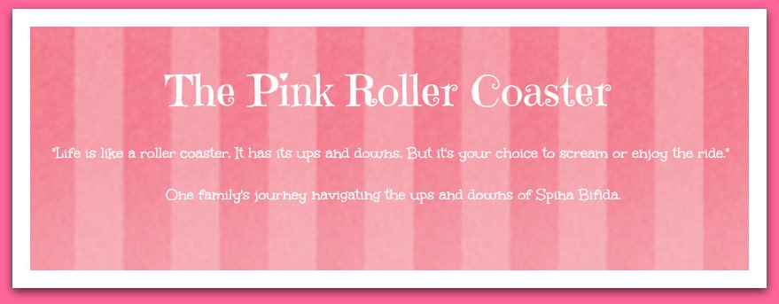 The Pink Roller Coaster Facebook Header Image Two