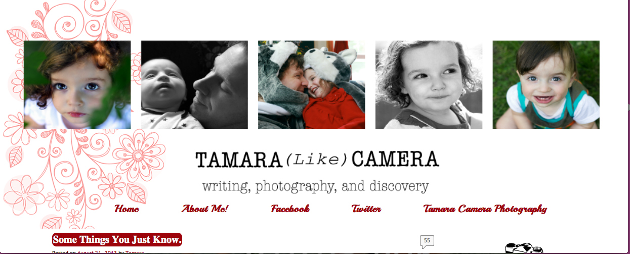Tamara Like Camera Blog Transfer and Redesign