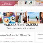 Tamera Like Camera Blog Redesign with Logo Design